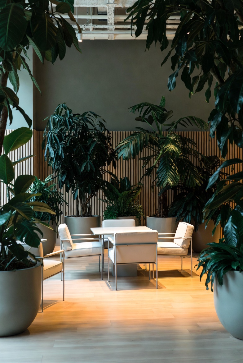 Home office desk with structured plants and open shelving