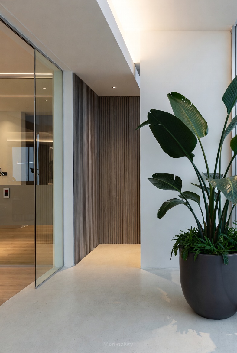 Studio apartment with low plants defining sleeping and work zones